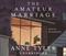 The amateur marriage : a novel