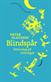 Blindspår : vetenskap på villovägar