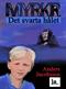 Det svarta hålet