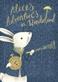 Alice's adventures in Wonderland