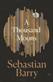 A thousand moons : a novel