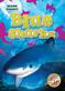 Blue sharks