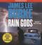 Rain gods : a novel
