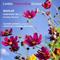 Symphony no. 1