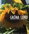 Gröna Lund : <en tredje bildbok om vad som egentligen gör Lund till Lund>