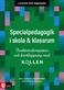 Lärarens bok högstadiet : specialpedagogik i skola & klassrum : funktionskompetens och kartläggning med Kollen