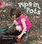 Pips in Pots