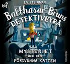 Mysteriet med den försvunna katten