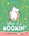 What is a Moomin? An Illustrated Guide in 100 Objects
