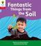 Oxford Reading Tree: Floppy's Phonics Decoding Practice: Oxford Level 4: Fantastic Things from the Soil