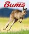 Bums : svenska. År 4