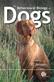 The behavioural biology of dogs